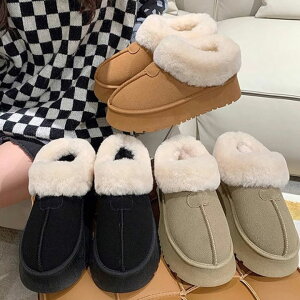 [gu[c fB[X N u[c   {A V[gu[c V[Y[q[ ؂ u[c  ₷  V[g fB[XV[Y Ȃ [N