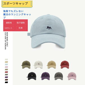 Lbv fB[X Y X|[c t jO Xq LbY j̎q ̎q bV w x[X{[Lbv  n  ubN x[W Lbv fB[X LbY X