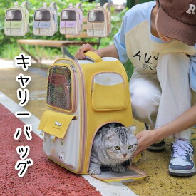 ペット キャリーバッグ 猫用 お出かけ ペットキャリー かわいい リュックサック リュックキャリー 可愛い キャリーケース メッシュ バック キャリーケース 外出 アウトドア かわいい ペットバッグ 旅行 送料無料