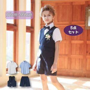  5_ZbgĐVq tH[}  w X[c j̎q ؍q tH[}  sAm \ lCr[ 80 90 100 110 120 130 140 150 a  w Ղ 