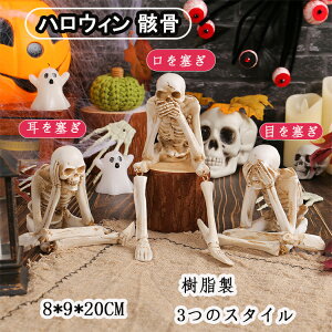 nEB [ u   z[ nEB[  ObY CeA ii nEB[ nEB fR[V 킢 nEB   nEB  [ XJ 