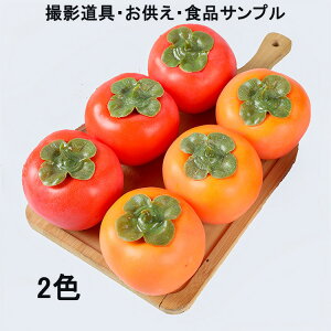 2  ` 49 ʎ ʕ  A HiTv tFCNt[c d _  d 茳{ t[c tFCN Tv CeA  W fBXvC U 