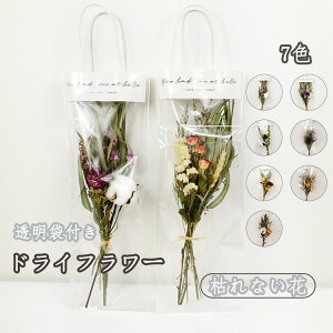 hCt[ u[P ԑ hV̓ ݑ ̓  X^[`X u[P ԍ o XC[c `RȊO vU[uht[u[P av[g [J o ݑ Ǐ 