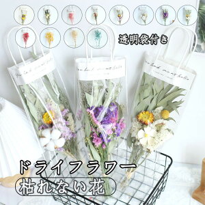 hCt[ u[P ԑ hV̓ ݑ ̓  X^[`X u[P ԍ o XC[c `RȊO vU[uht[u[P av[g [J o ݑ Ǐ 