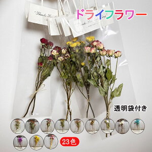 hCt[ u[P ԑ hV̓ ݑ ̓  X^[`X u[P ԍ o XC[c vU[uht[u[P av[g [J o ݑ Ǐ N ސE 