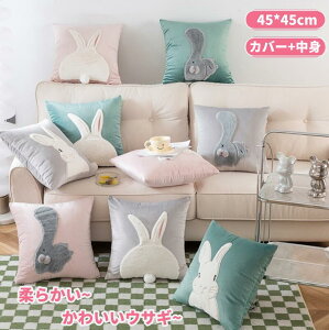 ���������z�N�b�V�����J�o�[ 45×45cm ������ �L ���� ������� �O���[�� �O���[ �s���N �J�o�[+���g �����` �ʋC �ې�OK ����h�~ �N�b�V���� �J�o�[ �Z�b�g 45*45 �e �l�R �k�� ���킢�� �N