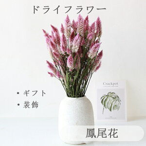 hCt[ u[P \ ԑ hV̓ ݑ ̓  X^[`X u[P ԍ o XC[c `RȊO vU[uht[u[P av[g [J o 