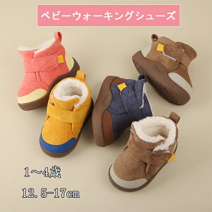 xr[V[Y j̎q N LbY ̎q ~ g ы n[g IV    w LbYC q C V[Y 킢  y o ʊw ʉ ub