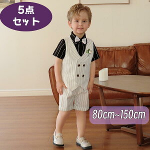 5_ZbgĐVq LbYtH[}  w tH[}X[c j̎q ؍sAm \ lCr[ 80 90 100 110 120 130 140 150 a  w ՂRT[gp[