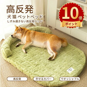 _10{|Cg^ xbh ybgxbh }bg xbh ˂xbg ^ _炩 Lybg ybg\t@[􂦂 NbV ̎アybgɍœK tӂӂ 