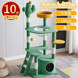 ＼10倍ポイント／キャットタワー キャットタワースタジアム 大型猫 スリム 省スペース 据え置き 猫タワー キャットハウス 猫 猫用品 爪とぎ ホワイトコットン 多頭飼い ハンモック付 ベッド おしゃれ 安定性 耐久性 136cm キャットタワー