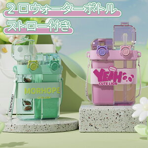 _10{|Cg^2EH[^[{g d݌tEI[^[{g &Xg[t d݌ dbNXg[t 760ml {g ύ EH[^[{g 킢 ό