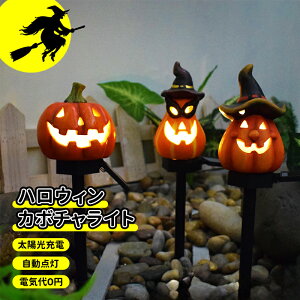 _10{|Cg^nEB  Cg ڂ K[fCg ڂ჉Cg nEB[ \[[Cg nEB XgOCg nEBt v ߍݎ 