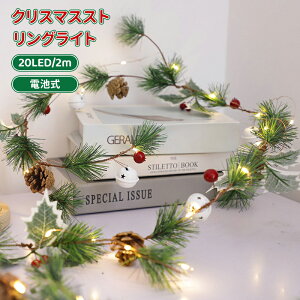 _10{|Cg^NX}XCg LEDCg NX}X C~l[VCg 20LED/2m dr NX}Xc[  NX}XCu p[eB[ t     C