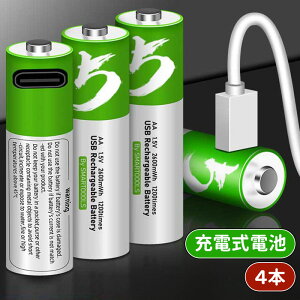 _10{|Cg^POdr [d 4{Zbg 11000gp\ 2600mWh 1.10Vo `ECI P3`[ddr }[d یHt GR AAdr TYPE-C[dP[ut