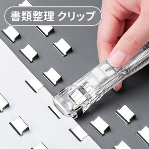 _X[p[Z[^Nbv  NA Nbv 100  NbvvbV[ ėp\ 𐮗 Ȃ Ȃ z`LX ސ pi ItBXpi [ 