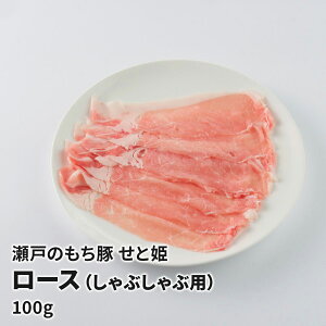 ˂̂ ƕP@[XiԂԗpj100g  O ؓ  LY