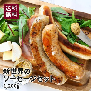 VẼ\[Z[WZbg 3 Zbg O lߍ킹 j Mtg 蕨 EBi[