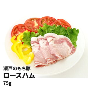 ˂̂ [Xni75gj 蕨 ܂ O Mtg