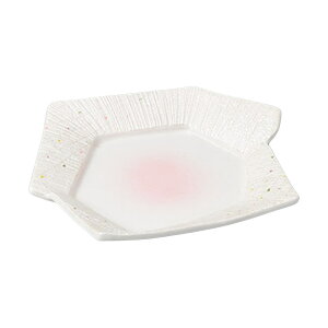 ό`M sN꒿X^[ ό`M [240×190×35mm] | H aH aM JtF  Ɩp  v[g Mtg  킢 j JX H Zbg