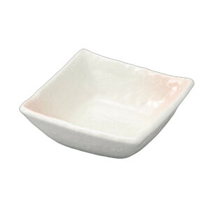 sN3.8p [ 10.5×10.5×4cm ] | p |  lC H Ɩp HX JtF    킢   Mtg v[g o j j a 