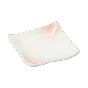 sNpM [ 10.5×10.5×2cm ] | pM |  lC H Ɩp HX JtF    킢   Mtg v[g o j j a 