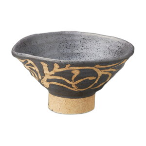 ɉ꓂{[UPЌ5.2 [ 17.2×16×8.8cmE540cc ] |  |  lC H Ɩp HX JtF    킢   Mtg v[g o j j