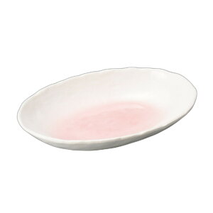 sNJ[M [ 26.8×18.2×3.9cm ] | M |  lC H Ɩp HX JtF    킢   Mtg v[g o j j a 