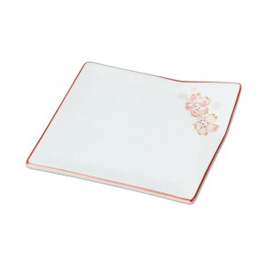 pM [ 11.3×11.3×2cm ] | pM |  lC H Ɩp HX JtF    킢   Mtg v[g o j j a 蕨  C