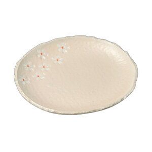 ԃg[iMj [ 16.5×15×1.7cm ] | M |  lC H Ɩp HX JtF    킢   Mtg v[g o j j a 蕨 