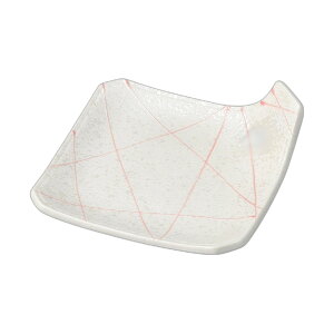 ꒿X^[pMisNj [ 11.6×11.6×3.5cm ] | pM |  lC H Ɩp HX JtF    킢   Mtg v[g o j j a