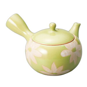 ᑐԊی^}{i₩ԁj [ 11×8.5cmE290cc ]  | }{ |  lC H Ɩp HX JtF    킢   Mtg v[g o j 