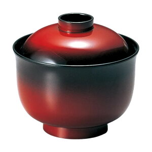 [TA]3.3^zo [Ă [ 9.7×9.1(6.7)cm(300cc) 300cc 103g ] ϔMABS ϔM | zo |  lC H Ɩp HX JtF    킢   Mtg v[g