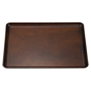 [A]PLȖ~ _[NuENS0 [ 29.9×21.9×2cm 280g ] ABS mXbv | ~ |  lC H Ɩp HX JtF    킢   Mtg 