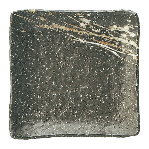  4.3pM [13 x 13 x 3cm 232g ] | pM  |  lC H Ɩp HX JtF    킢   Mtg v[g o j j a 蕨 