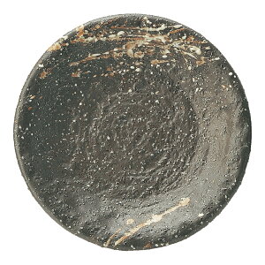  5.0M [16.3 x 16.3 x 2.5cm 245g ] | M |  lC H Ɩp HX JtF    킢   Mtg v[g o j j a 蕨 