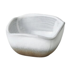 ̂ p [9.3 x 9.3 x 4.9cm 200g ] |  |  lC H Ɩp HX JtF    킢   Mtg v[g o j j a 蕨 