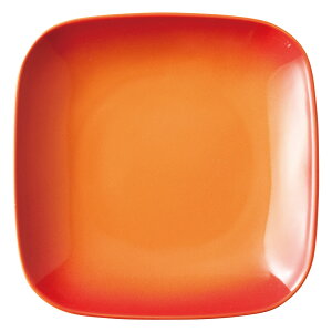 COLOREiR[jij IW XNGAv[giMj [19.5 x 19.5 x 3.6cm 560g ] | mH M |  lC H Ɩp HX JtF    킢   Mtg 