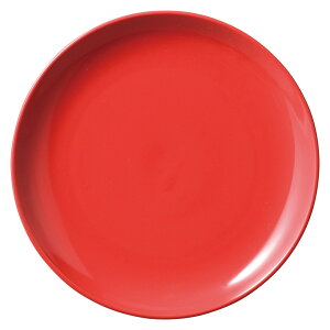 j[`Ciiԁj ԋʟ21cmM [21 x 21 x 2.4cm 390g ] |  M |  lC H Ɩp HX JtF    킢   Mtg v[g o j 