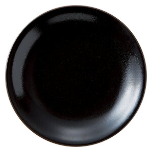 Mq 6.5M [21 x 21 x 3.1cm 368g ] |  M |  lC H Ɩp HX JtF    킢   Mtg v[g o j j a 