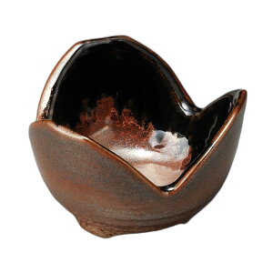 `aOcRE [7.7×5.2cm] | H aH aM JtF  Ɩp  v[g Mtg  킢 j JX H Zbg