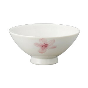 ʂ [11.7×5.3cm] | H aH Ɩp  v[g Mtg  킢 j Zbg ͂񒃘q q q