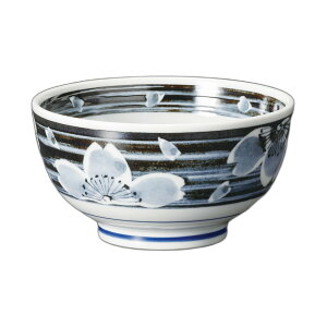 lG5.0 [15.2×8cm] | H aH Ɩp  v[g Mtg  킢 JX H Zbg  ǂ [    ǂԂ 