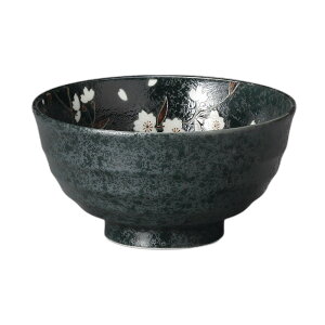 ()5.5p [16.8×8.8cm] | H aH Ɩp  v[g Mtg  킢 JX H Zbg  ǂ [    ǂԂ 