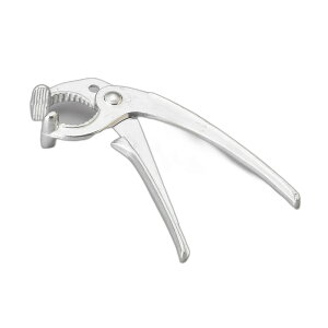 Γ݃z_[ [18cm] | Ɩp ēX Ώărro ؍