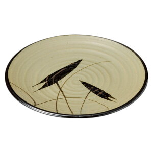 vq 8.0M [25.5cm] | H aH aM JtF  Ɩp  v[g Mtg  킢 j JX H Zbg