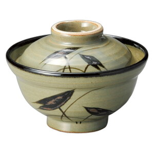 vq 5.0W [15.8×11.8cm] | H aH Ɩp  v[g Mtg  킢 JX H Zbg    ǂԂ W