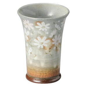 {H(RXX) rAJbv [8.5×11.5cmE250cc] | v[g Mtg  킢 Zbg Vv _  C Ē r[ Ђ q nC  M   