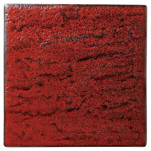 ┧V[Y p20cmM(gMq) [20.5×20.5×1.2cm] | H aH aM JtF  Ɩp  v[g Mtg  킢 j JX H Zbg