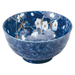 iX 5.5p [16.8×8.8cm] | H aH Ɩp  v[g Mtg  킢 JX H Zbg  ǂ [    ǂԂ 